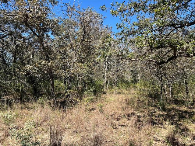 Land for sale in Luling, Gonzales County