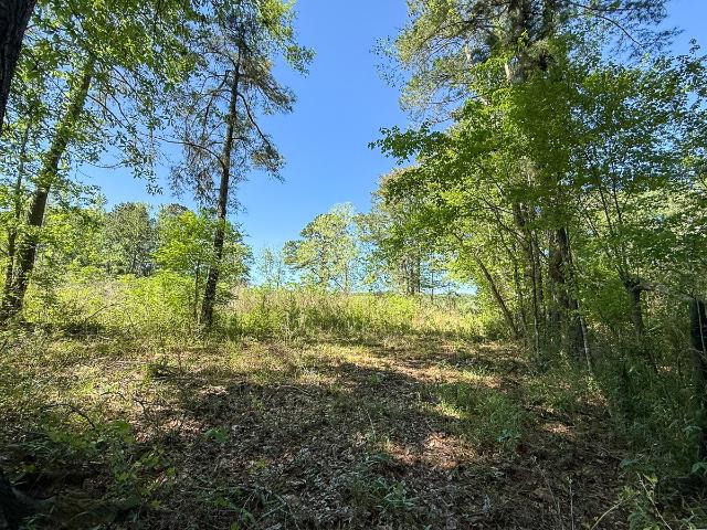 Land for sale in Sabine, Texas
