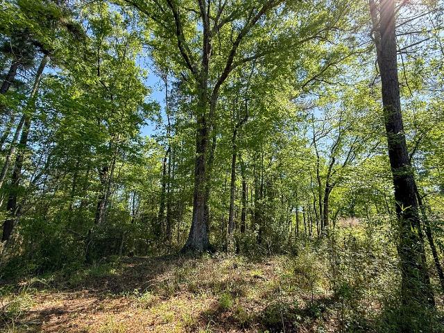 Land for sale in Sabine, Texas