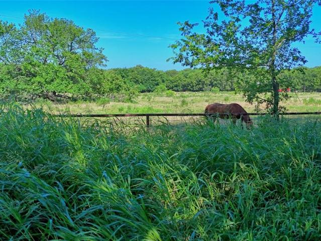 Land for sale in Saint Jo, Texas