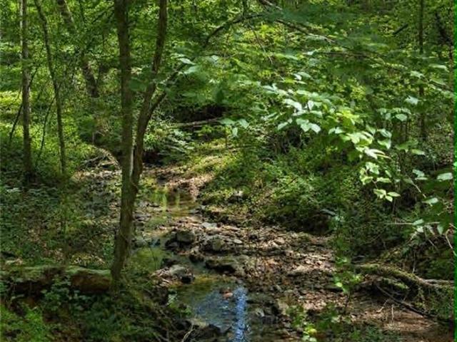 Land for sale in North Carolina