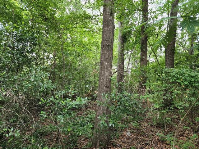Property for sale in Wood, Texas