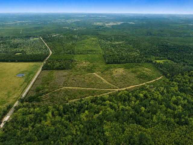 Land for sale in Newton, Texas
