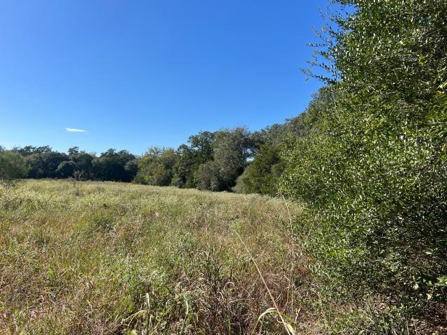 Land for sale in Frelsburg, Columbus