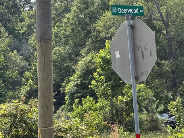 Land for sale in Shepherd, San Jacinto County