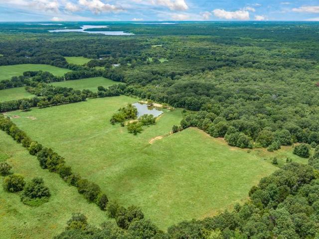 Land for sale in Yantis, Texas