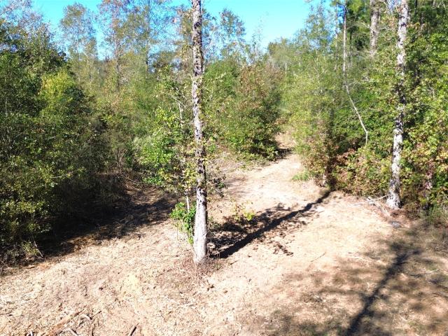 Land for sale in Lovelady, Texas