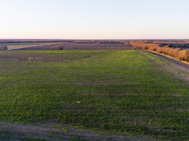 Land for sale in Ben Franklin