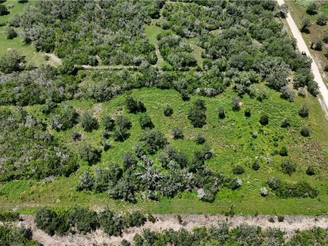 Land for sale in Goliad, Texas