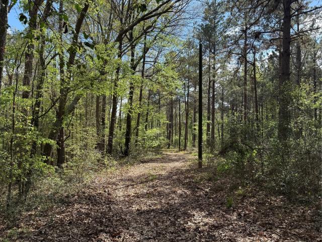 Land for sale in Shelby, Texas