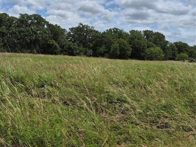Land for sale in Clay, Texas