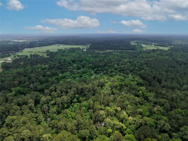 Land for sale in Richards, Texas