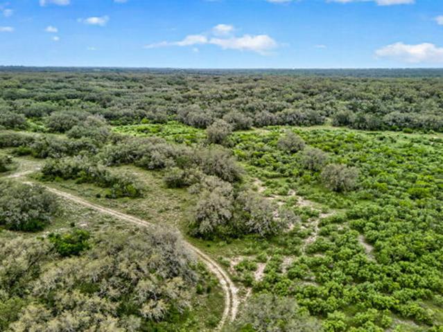 Farm for sale in Medina, Texas