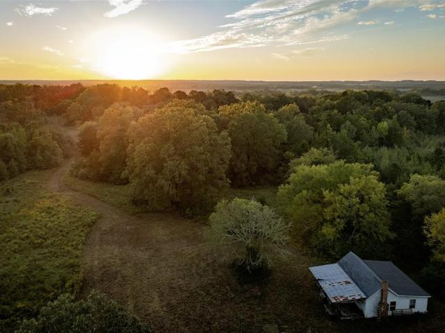 Land for sale in Harrison, Texas