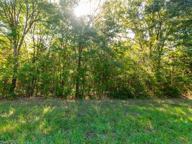 Land for sale in Troup, Smith County