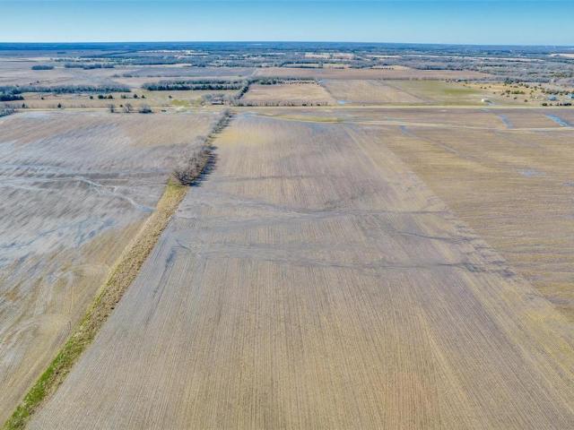 Land for sale in Fannin, Texas