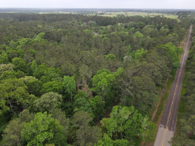 Land for sale in Crockett, Texas