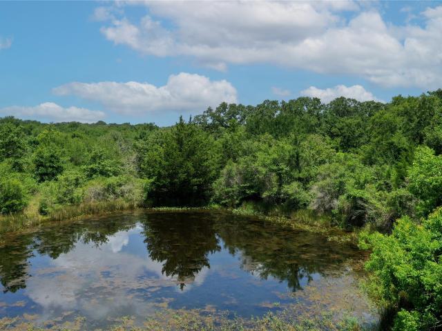 Land for sale in Millican, Texas
