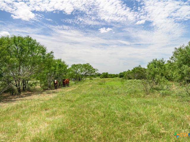Land for sale in Flatonia, Texas