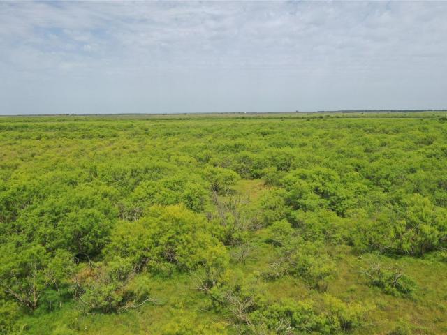 Property for sale in Clay, Texas