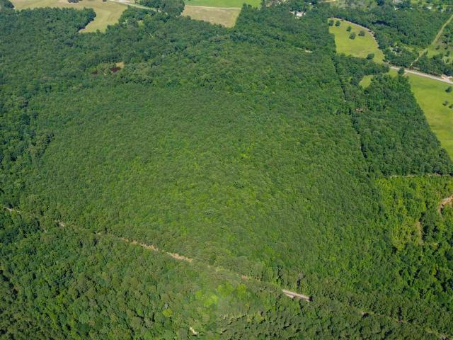Land for sale in Queen City, Texas