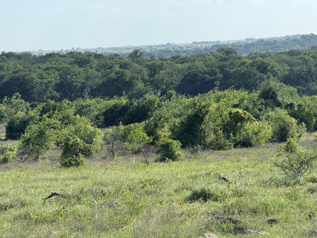 Land for sale in Hamilton