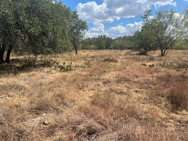 Land for sale in Brownwood, Brown County