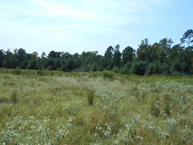 Land for sale in Crockett, Texas
