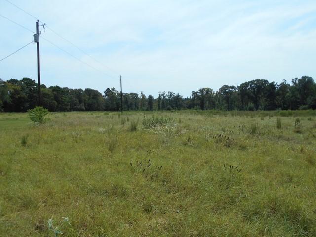 Land for sale in Crockett, Texas