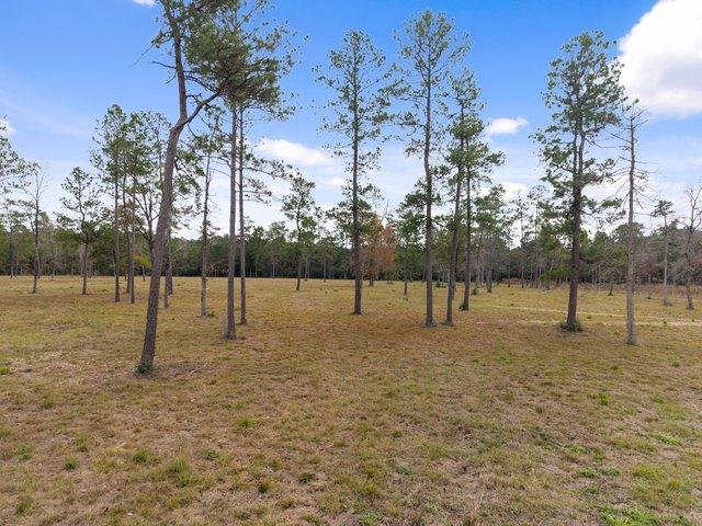 Land for sale in Polk, Texas