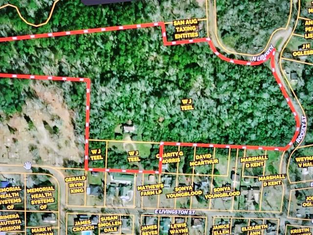 Land for sale in San Augustine, Texas