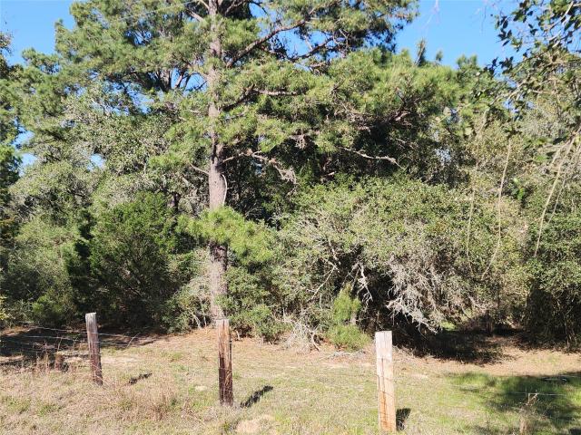 Land for sale in Hallettsville, Texas