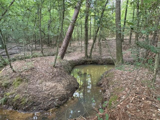 Land for sale in Carthage Land for sale in Carthage