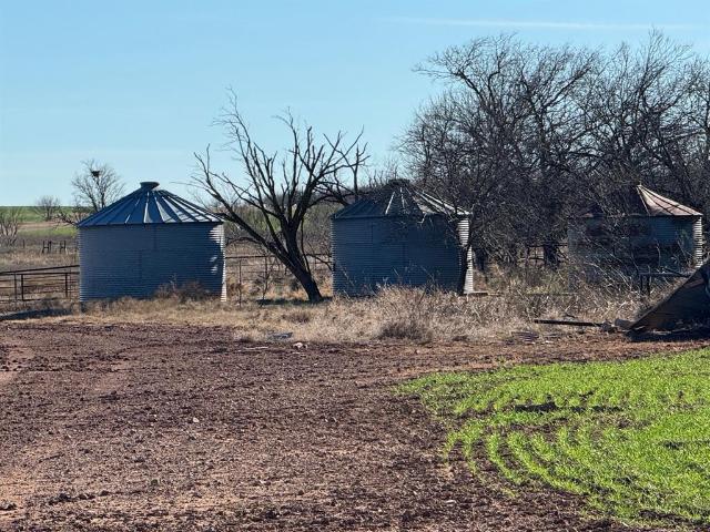 Land for sale in Seymour, Texas
