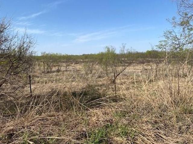 Land for sale in Hamlin