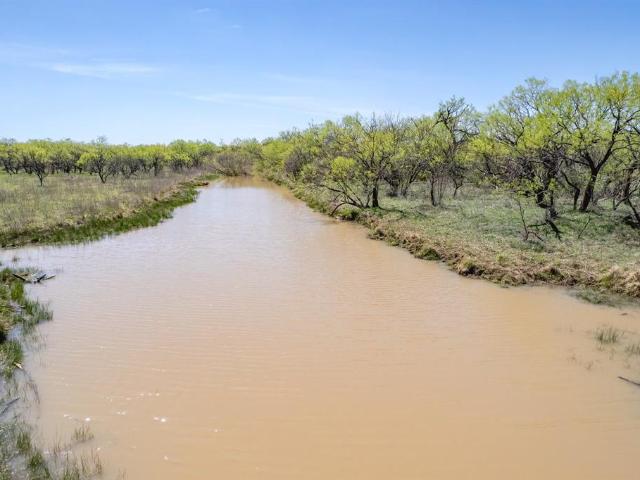 Land for sale in Coleman, Texas