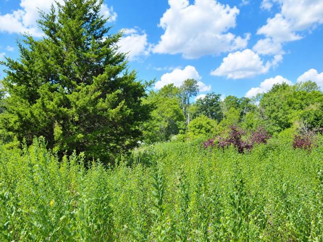 Land for sale in Burton, Washington County