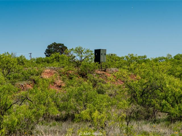 Land for sale in Stamford, Texas