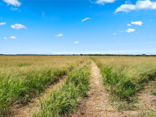 Land for sale in Callahan, Texas