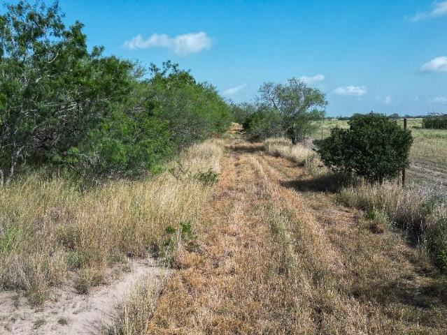 Land for sale in George West, Texas