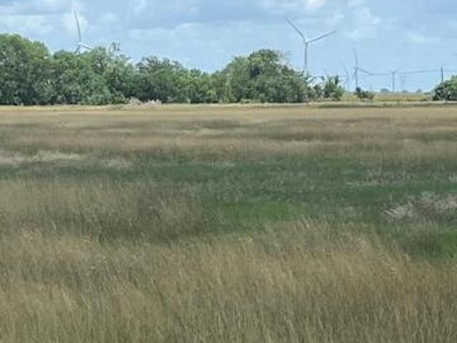 Land for sale in Bee, Texas