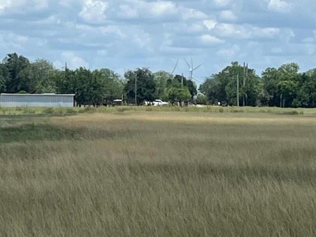 Land for sale in Bee, Texas