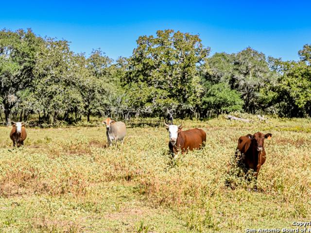 Farm for sale in Dewitt, Texas