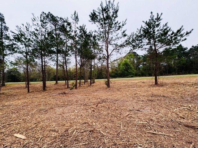 Land for sale in Shelby, Texas