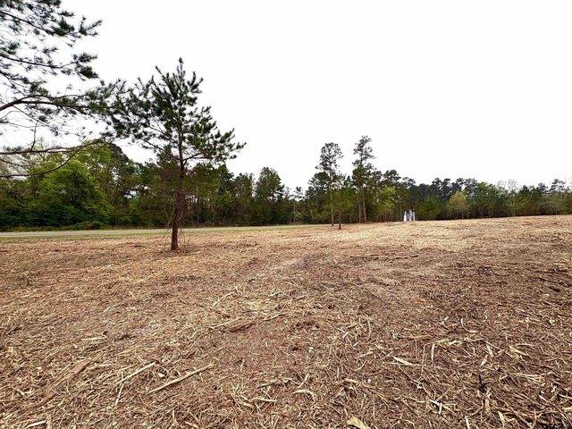 Land for sale in Shelby, Texas