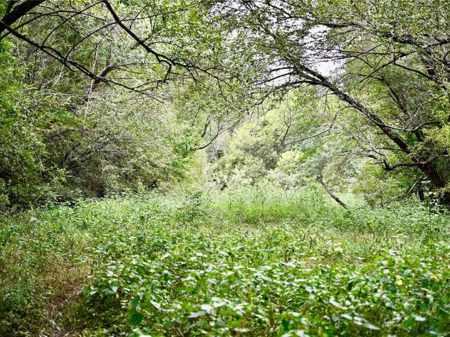 Land for sale in Franklin, Texas