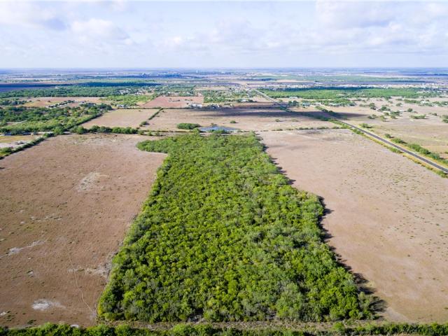 Land for sale in Orange Grove, Texas