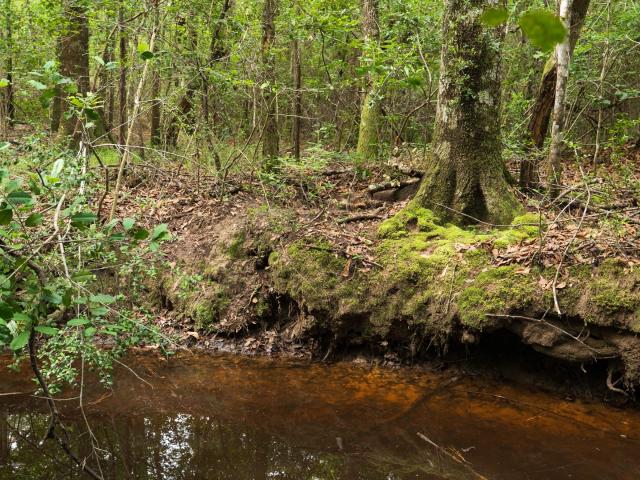 Land for sale in Kountze, Texas