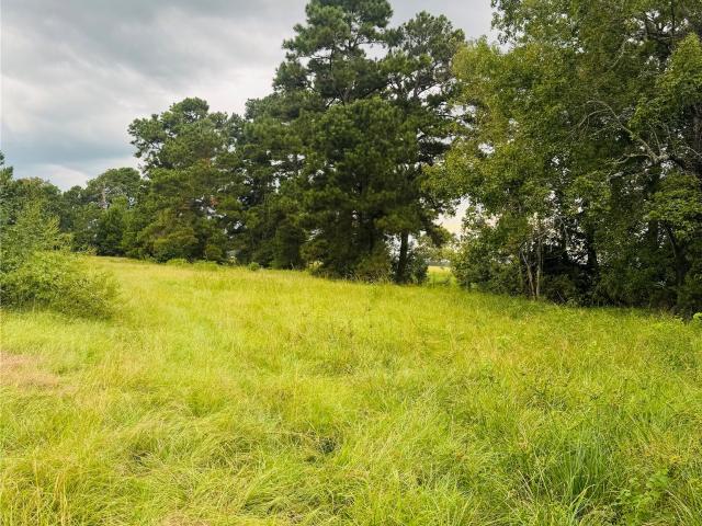 Land for sale in Hull, Liberty County