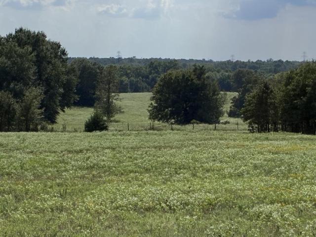Land for sale in Rhode Island, Fairfield